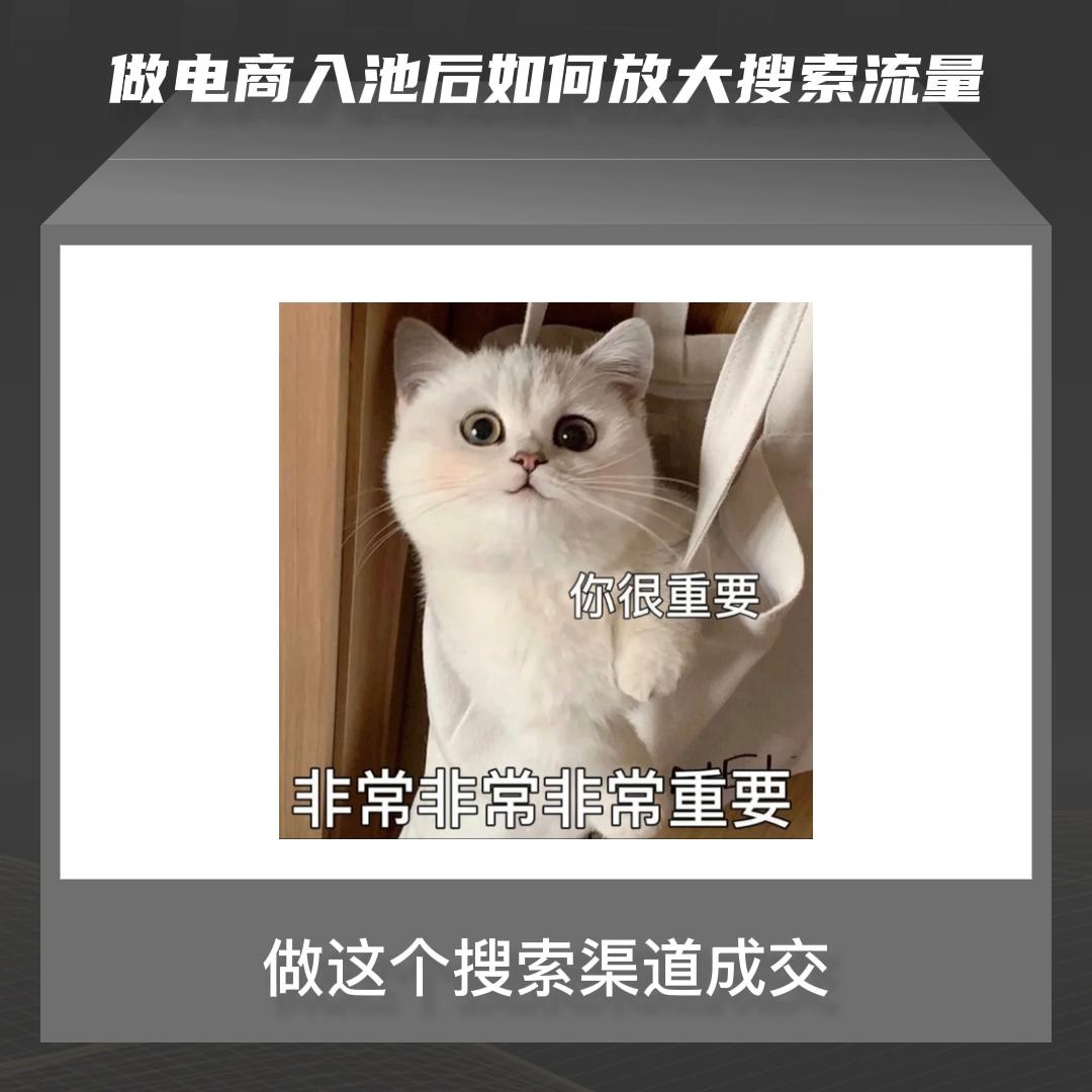 qw2.jpg