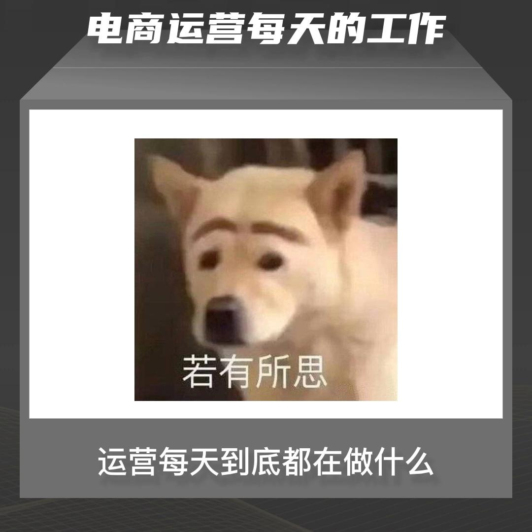 qw1.jpg