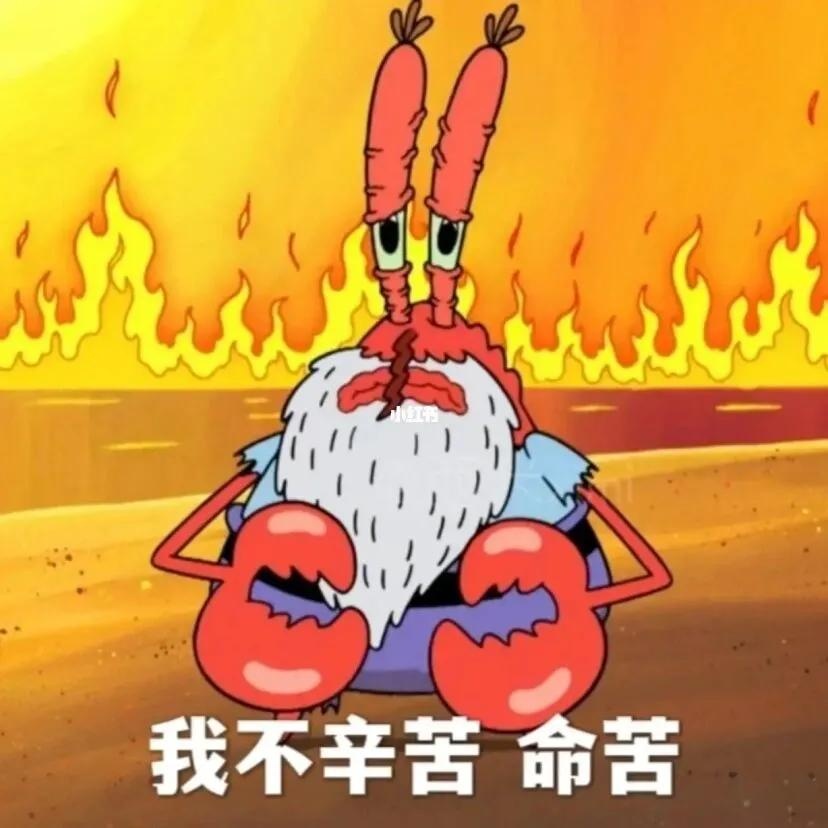 qw6.jpg