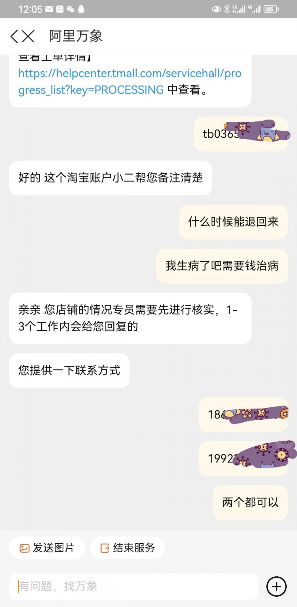 qw5.jpg