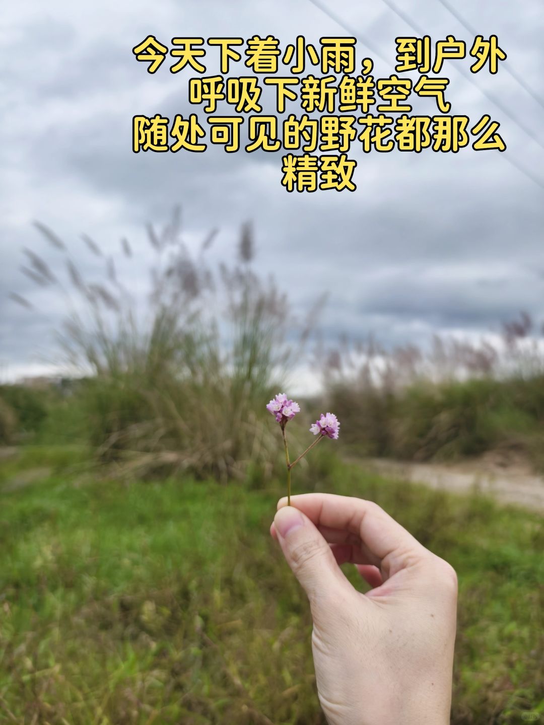 739bb33ada74a5a35027784e1fc40037.jpg