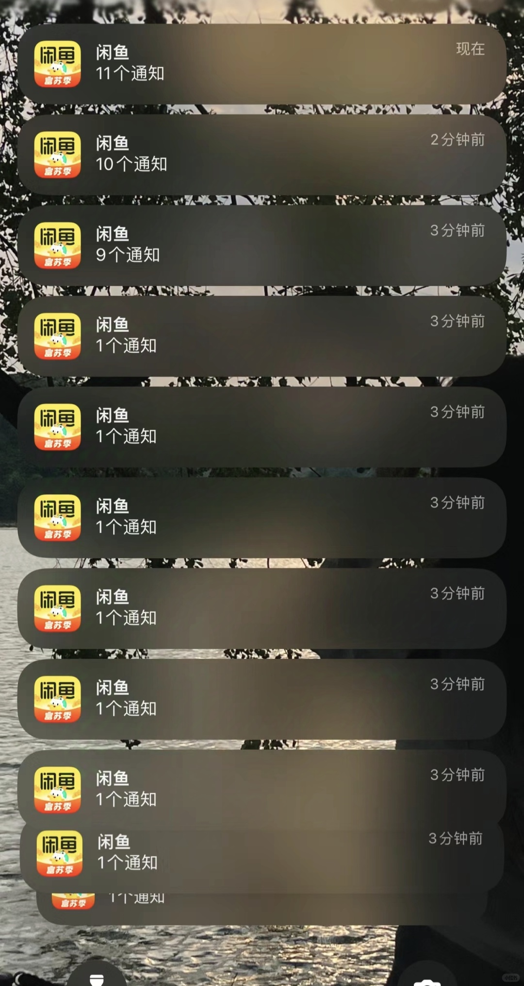 b620593c4ba42115d9e5143bbfefdb55.jpg
