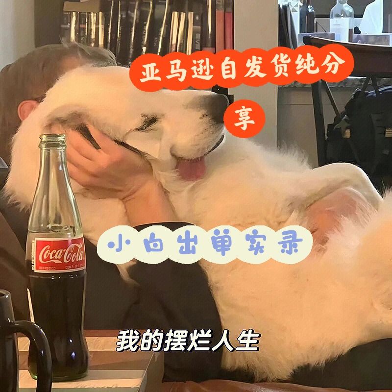 4a6dd0b0deee47ad64621b0b96d7438a.jpg