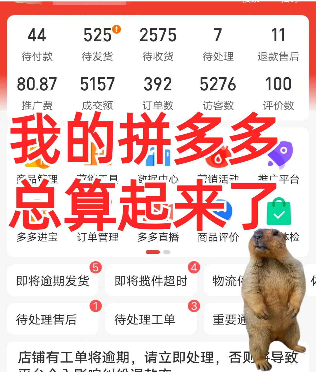 4c15c93ccb09797ade0d837f285bfa7c.jpg