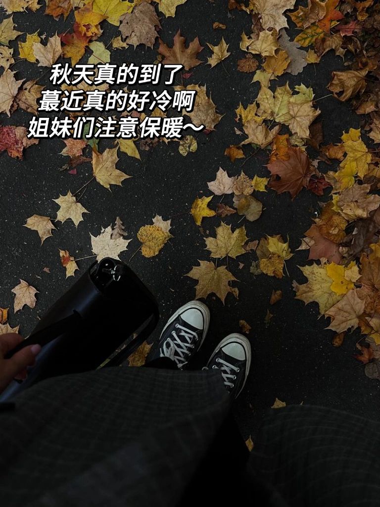 48c94d4aeeacfc464db2ba62aef3f535.jpg