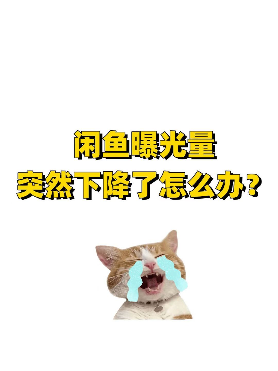 947a5130fe49ee98d10b1682db2c5bb0.jpg