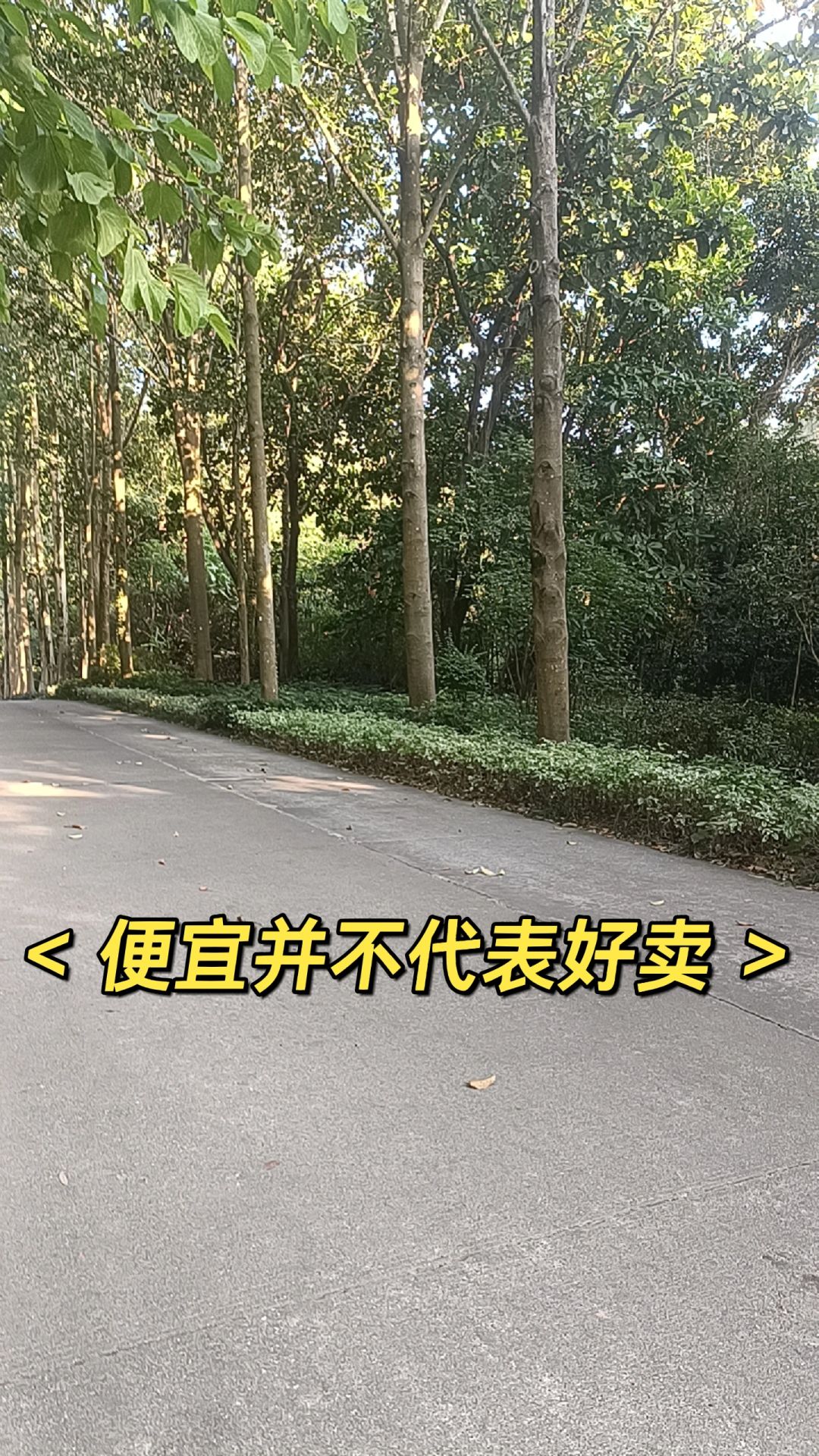 5061c53285c4e18930e878c7b50645a4.jpg