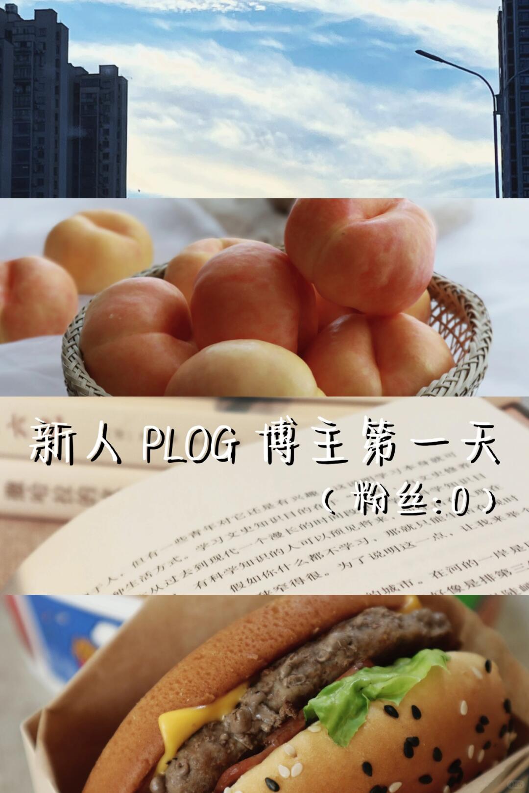e4e99bd5ae80d24f80dc30f805d4179c.jpg