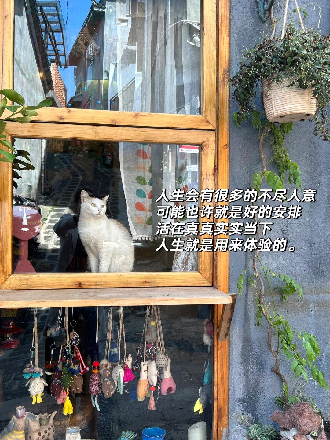 dbdc9dd203bf8f2e2d33cda42fe00480.jpg