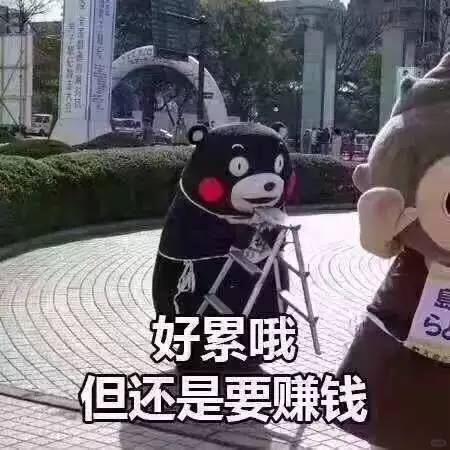 393f56920876df7716b29182805ac795.jpg