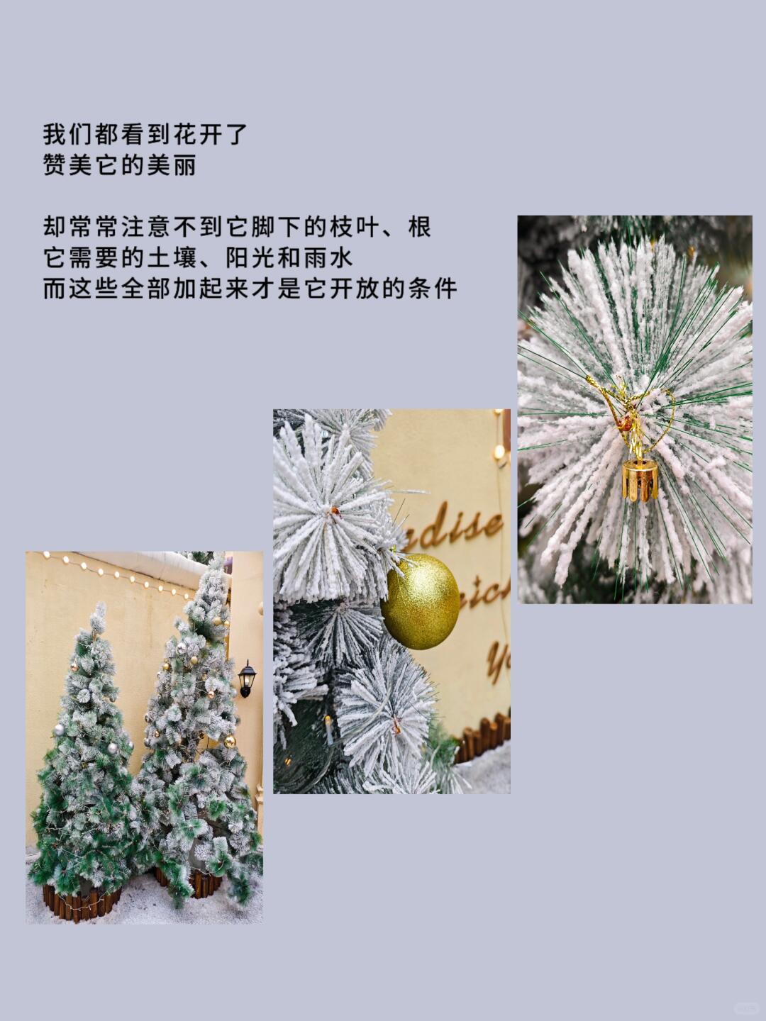 f9698dbee9888c671bb59dbc255a8839.jpg