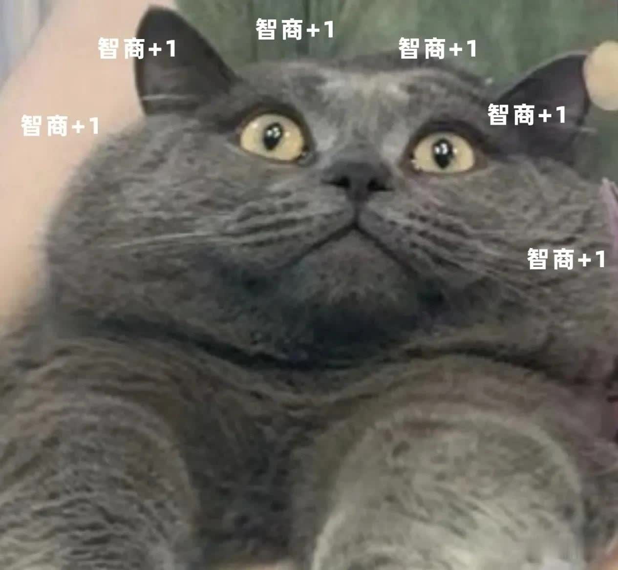 qw1.jpg