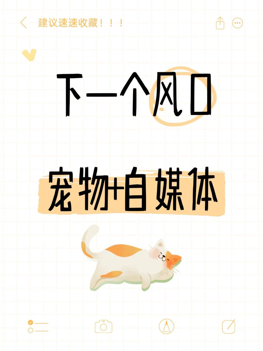 b305eeafddd002a8560d48f74c90625f.jpg