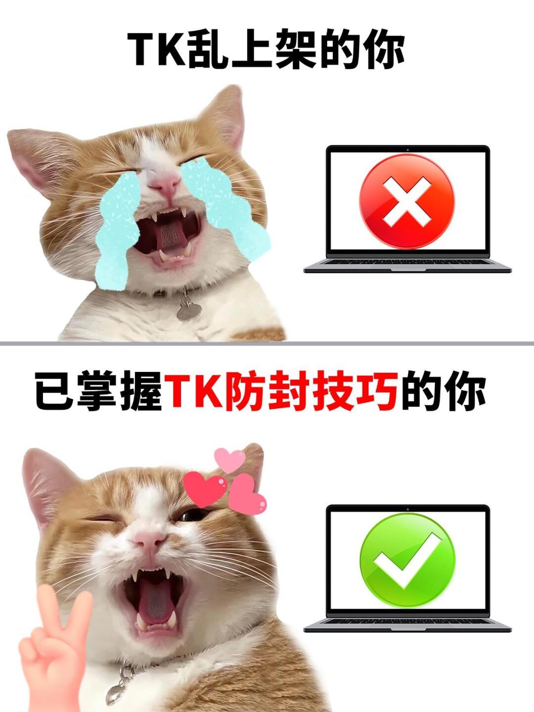7f223e95511f5c08165a34b76e70e505.jpg