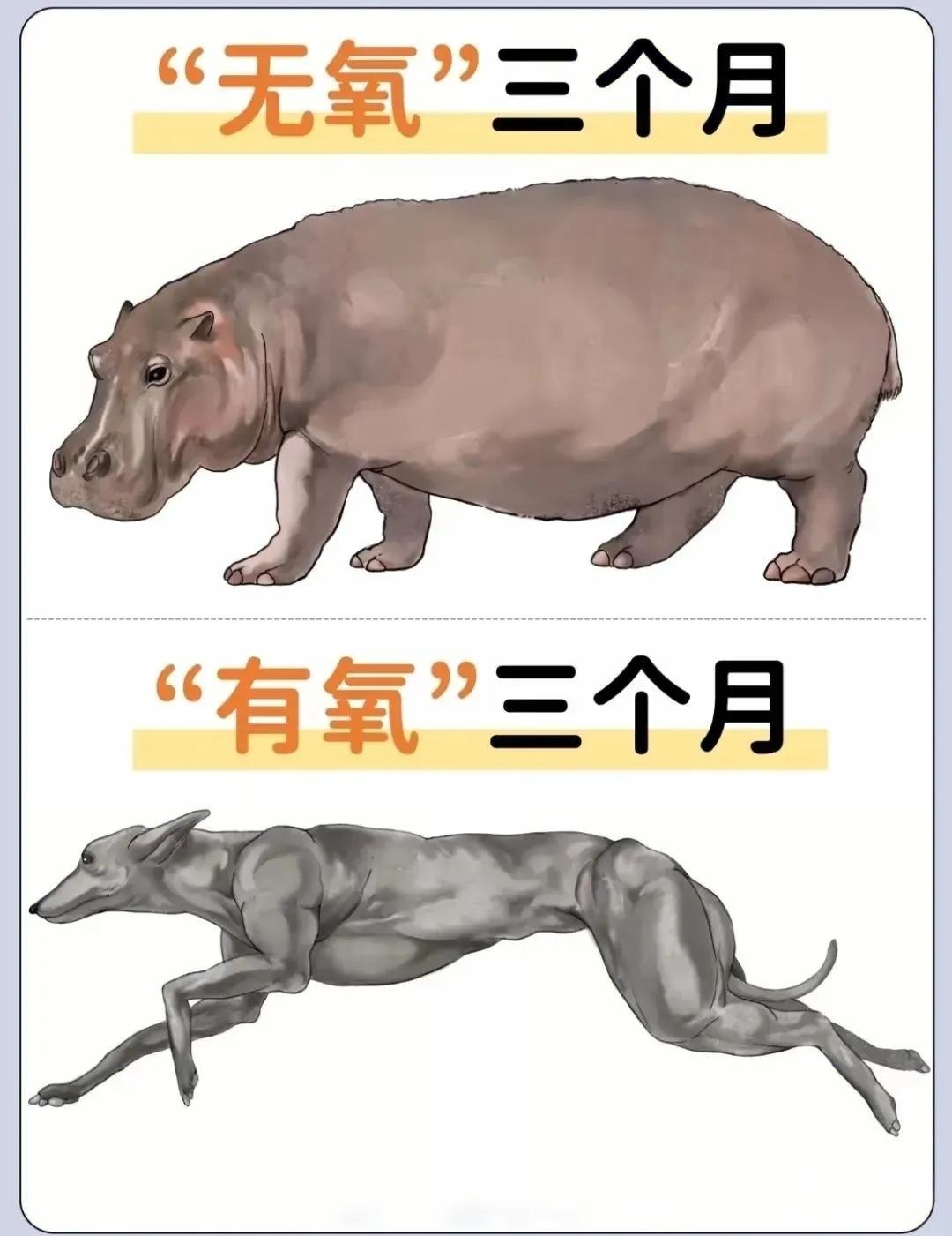 qw1.jpg