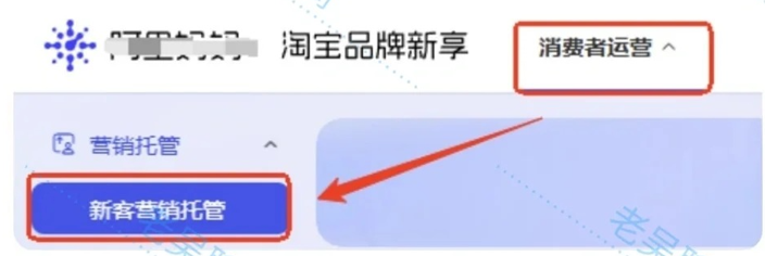 5.png