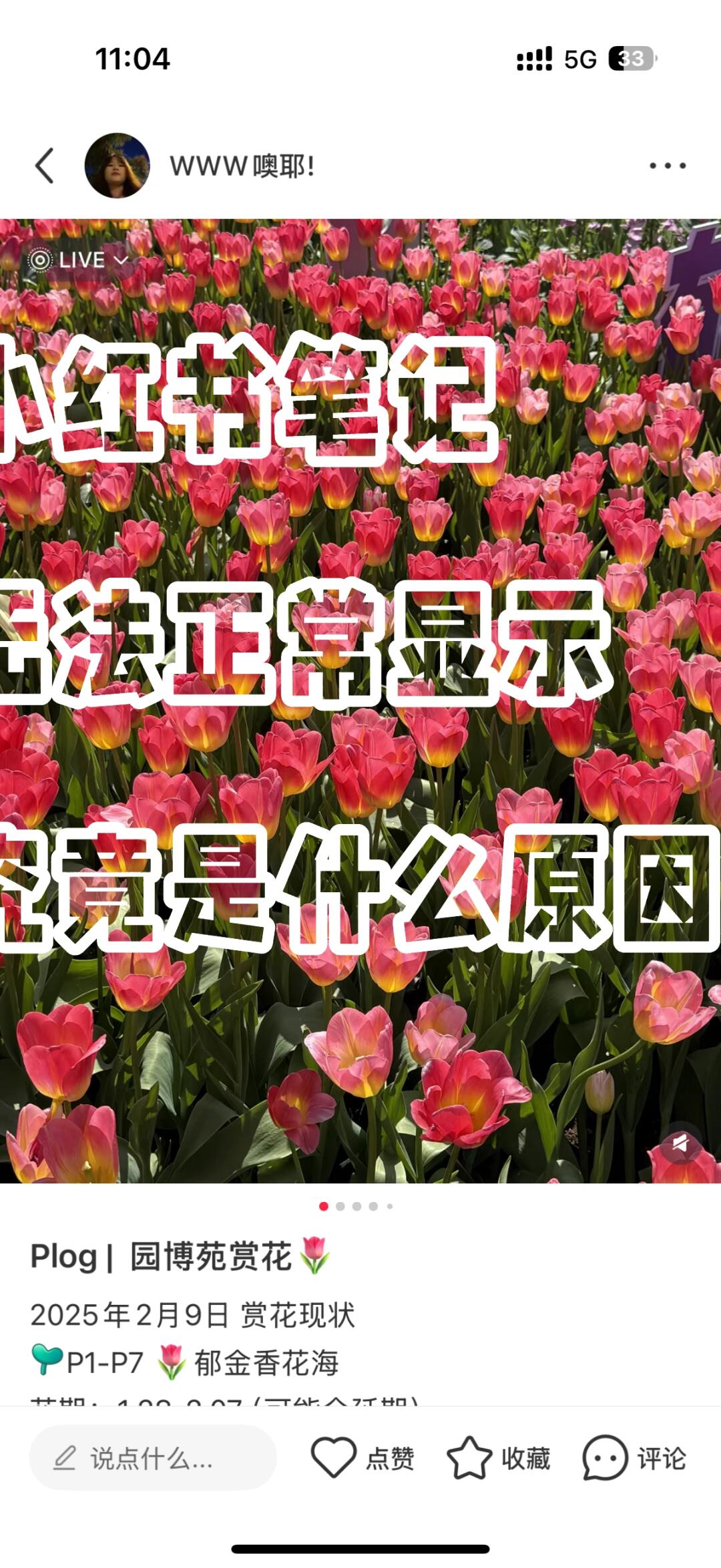 8235c53ccf02603ab57ea1cbaea856b3.jpg