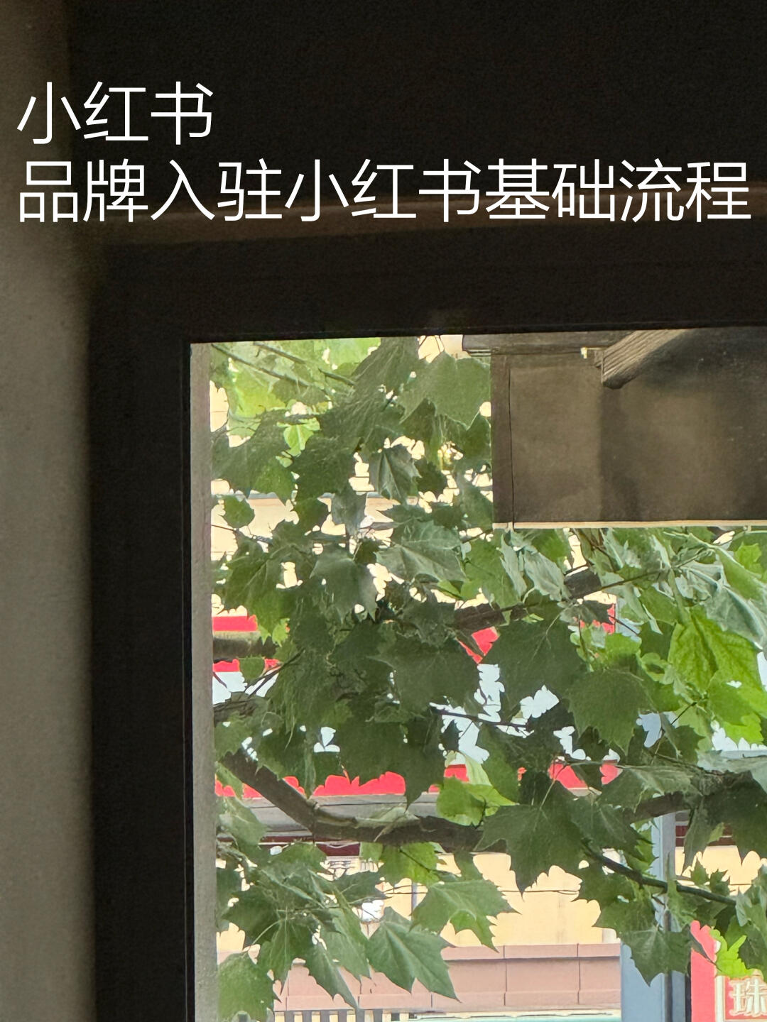 2dd6ec48d0d1602d860948be689cc490.jpg