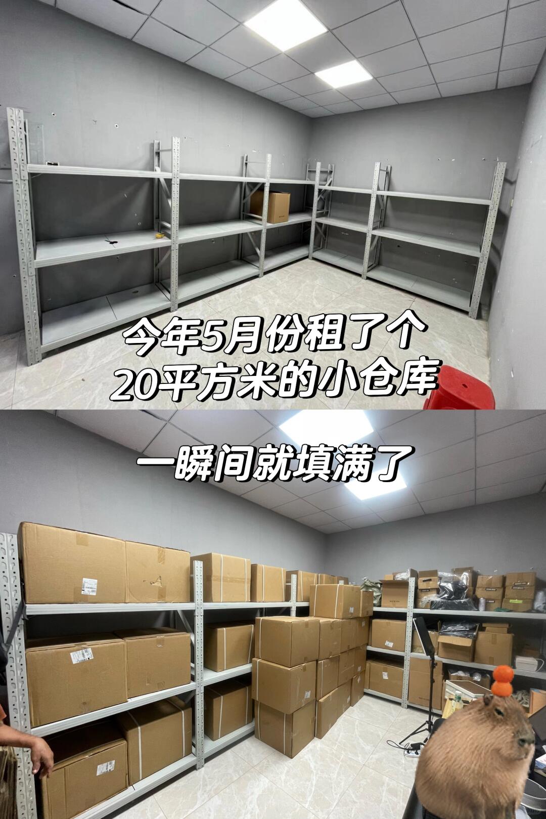 edb4a33cec6b2b9b12418da91447cf22.jpg