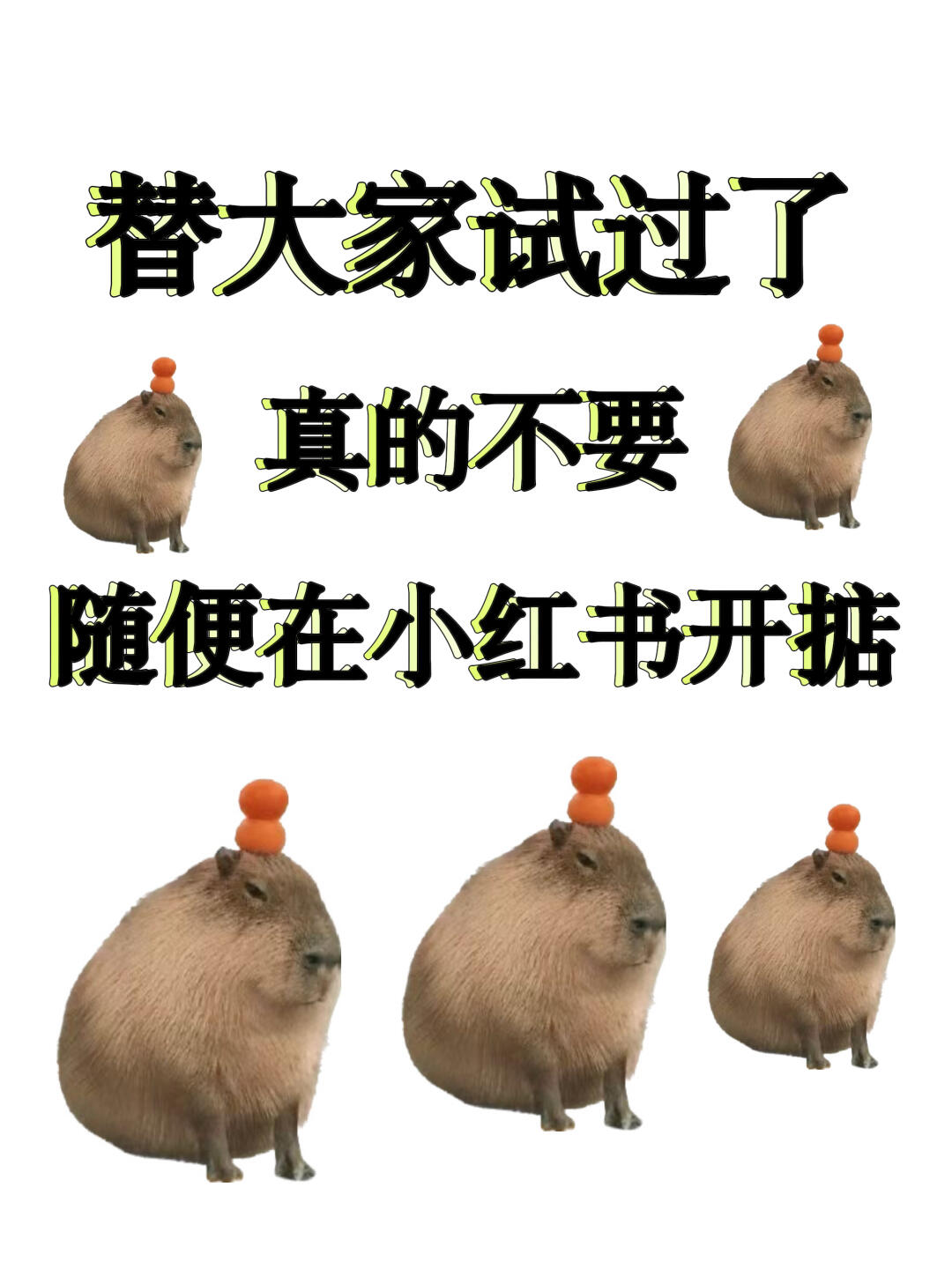 9c51296ad214d442d69a52aee4b0c42e.jpg