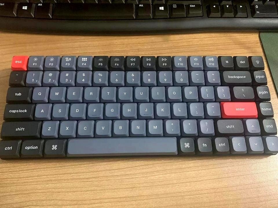 qw1.jpg