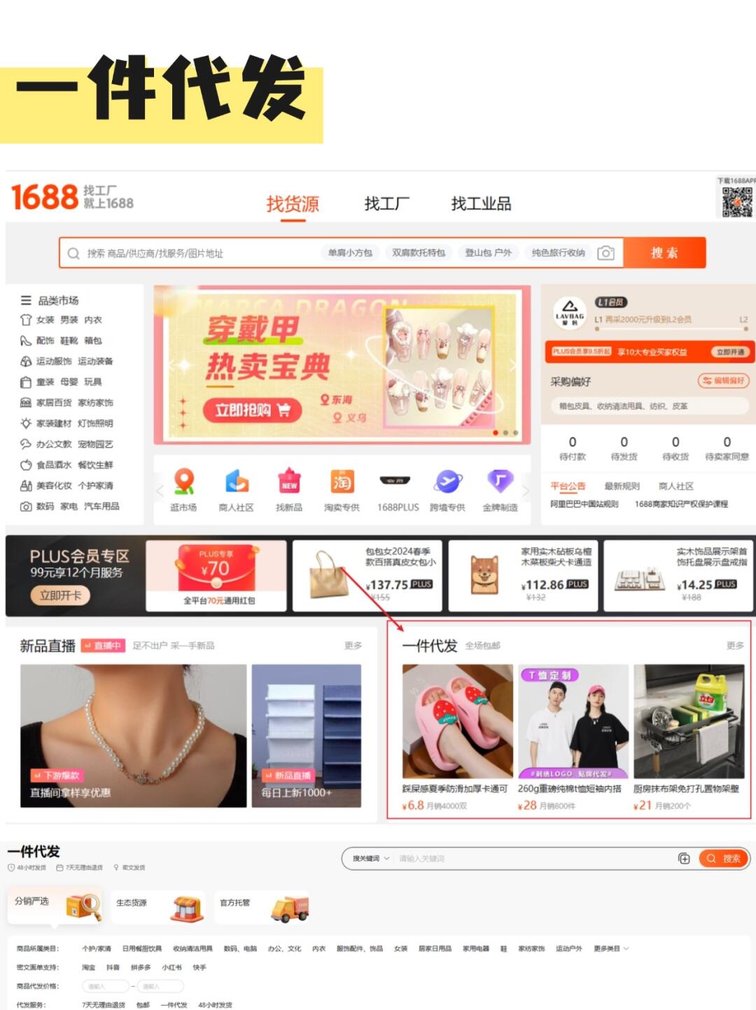 2fdec6417a83b64a7882d31c73a996da.jpg