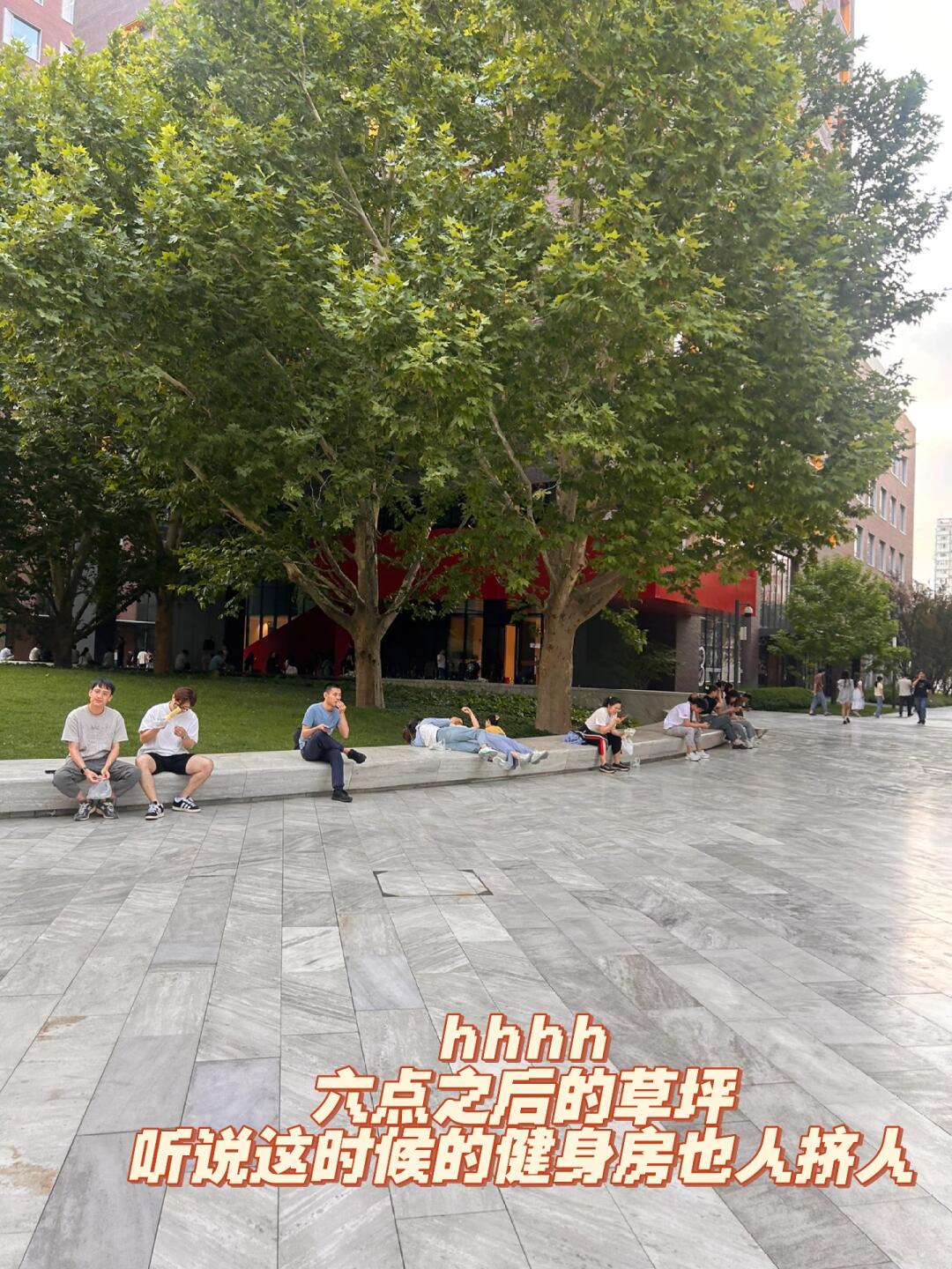 b2bfd258adab5ee0ea5101be7bc54618.jpg