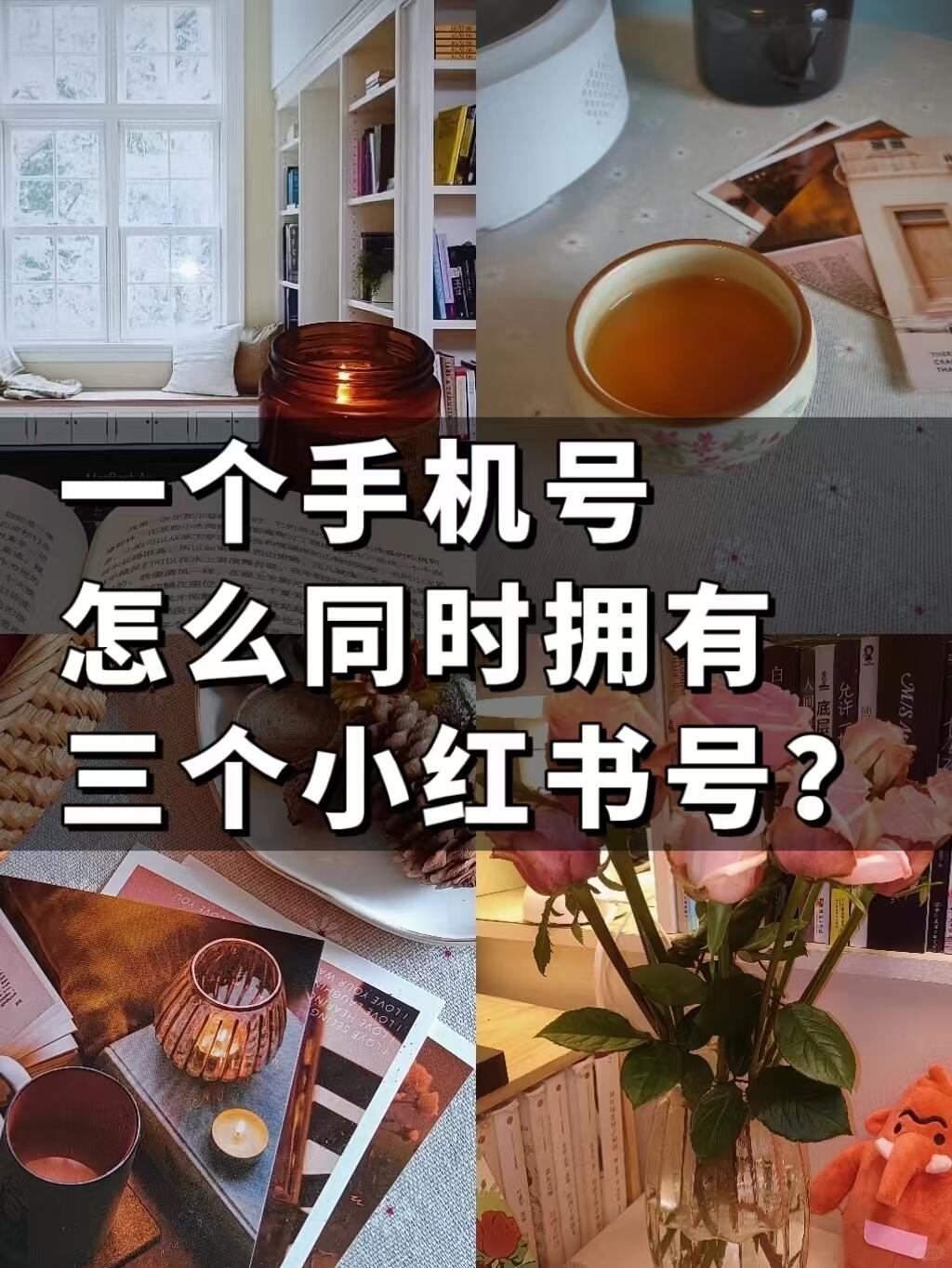 8d1fd6ace8e566a790e7d72166a29dea.jpg