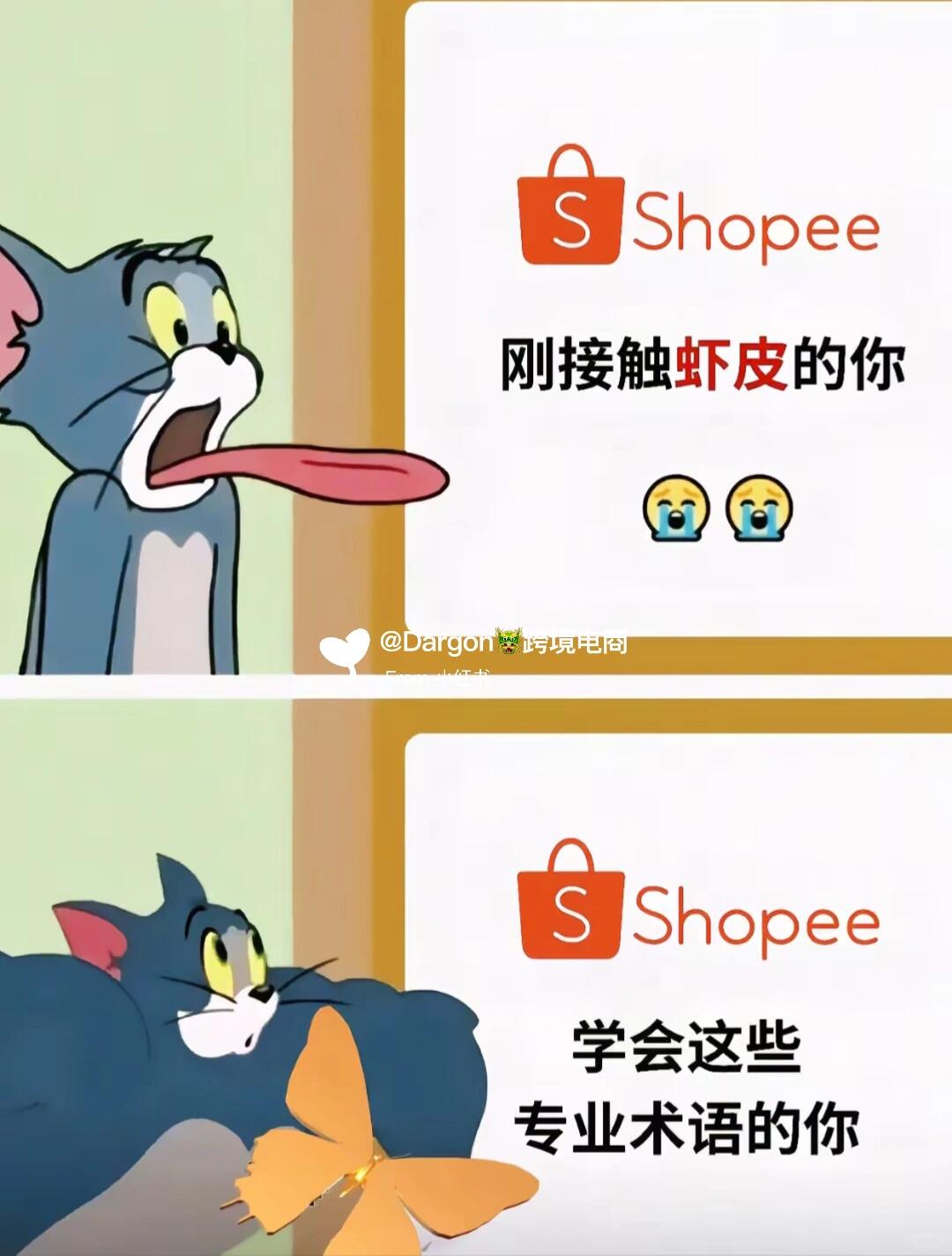 b663af6305b9721ed2191065654fbd5a.jpg