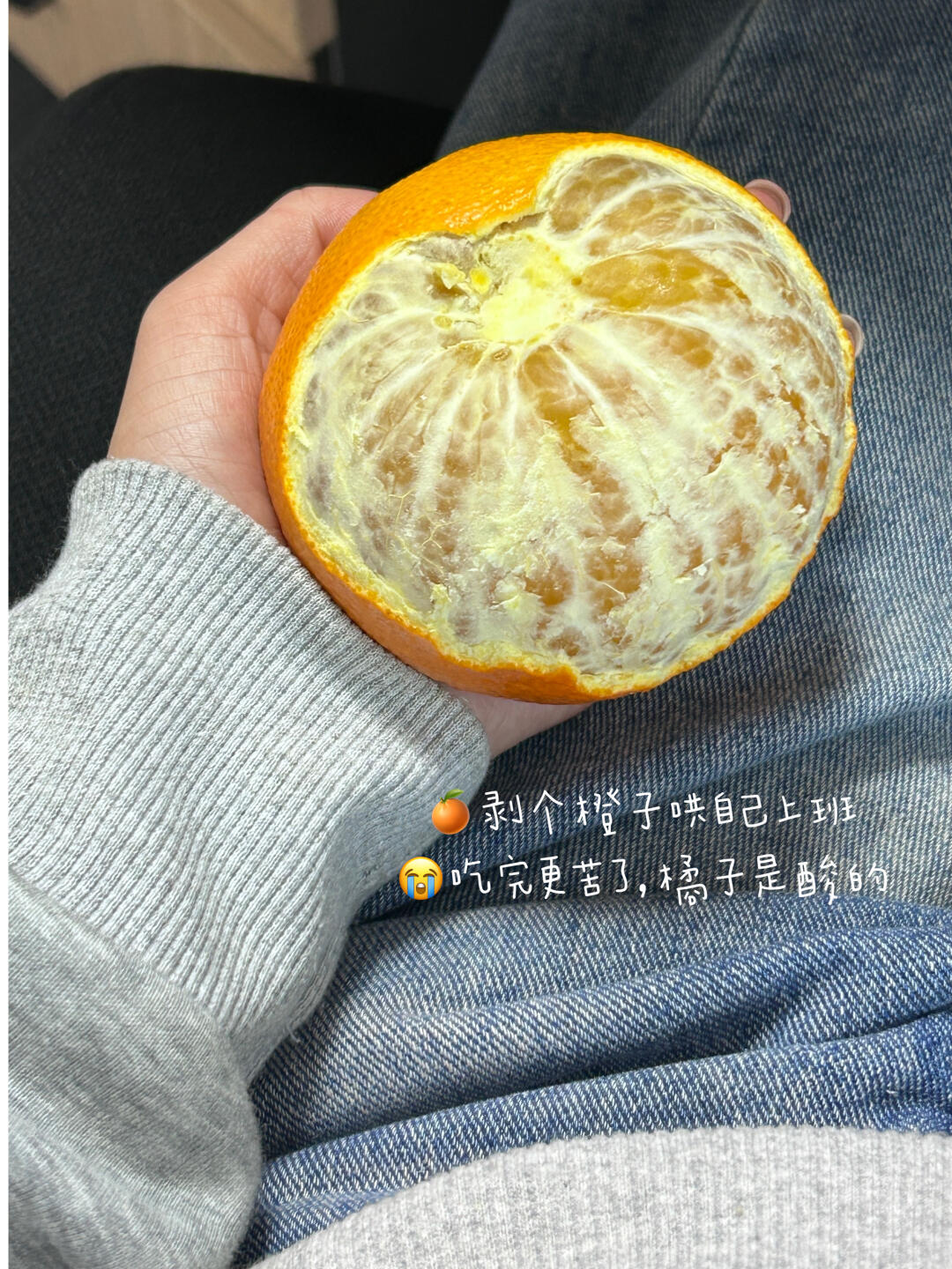 cf648071c7d6c31b07248ddd0d9a3352.jpg