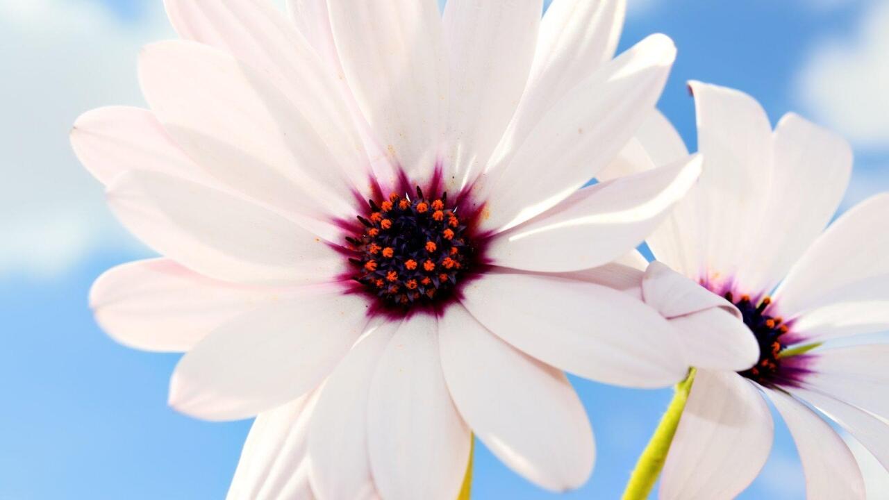 c2a03a7ef25050ab751e2f1b437ea8ba.jpg