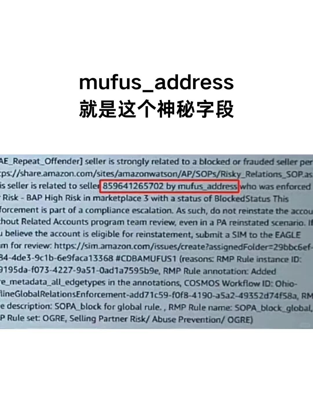 qw2.jpg