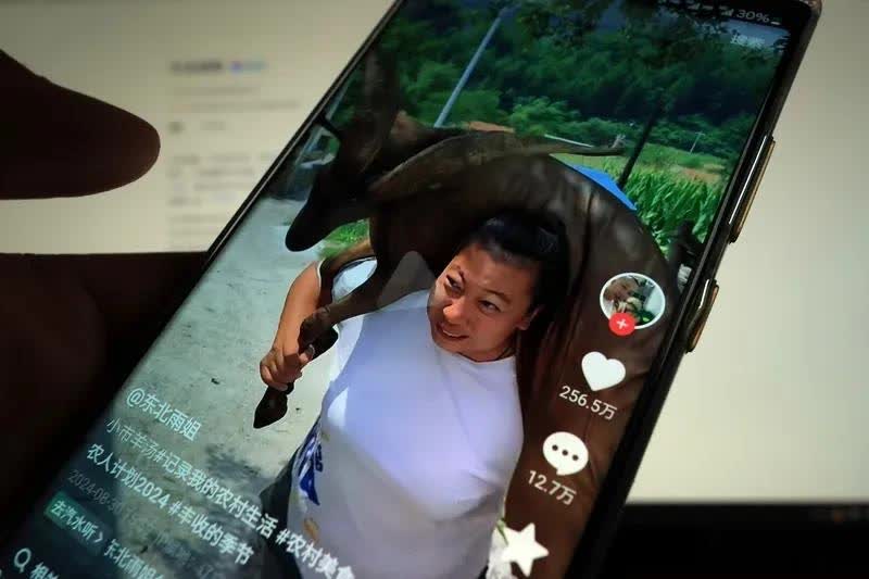 qw1.jpg