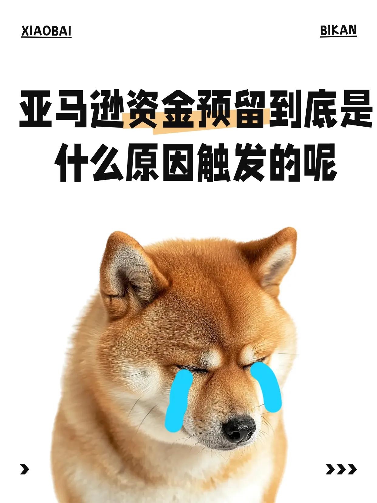 qw1.jpg