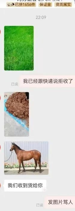 qw1.jpg