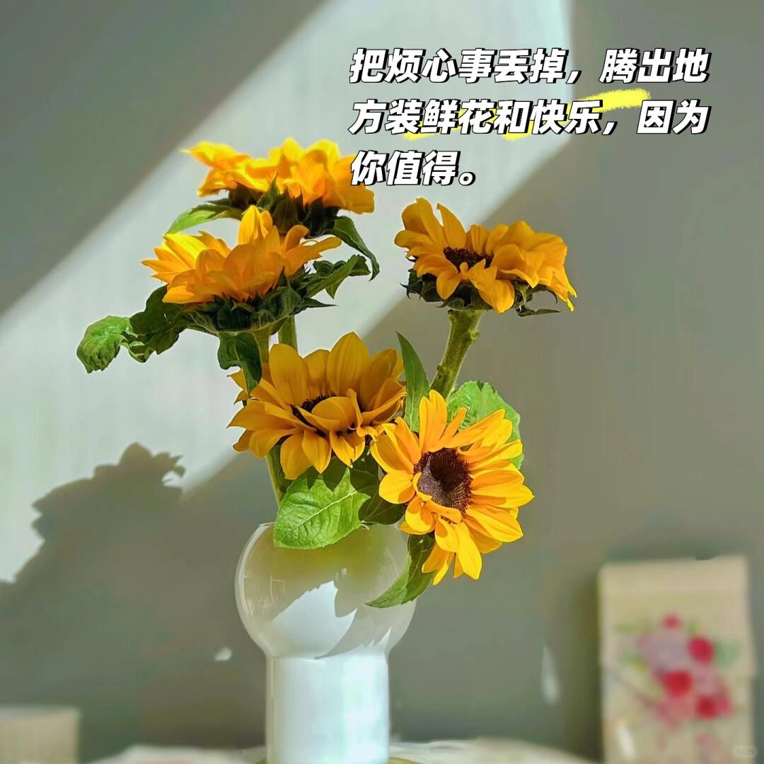 ab54f77b3e9e829ced436827b6ac53c6.jpg