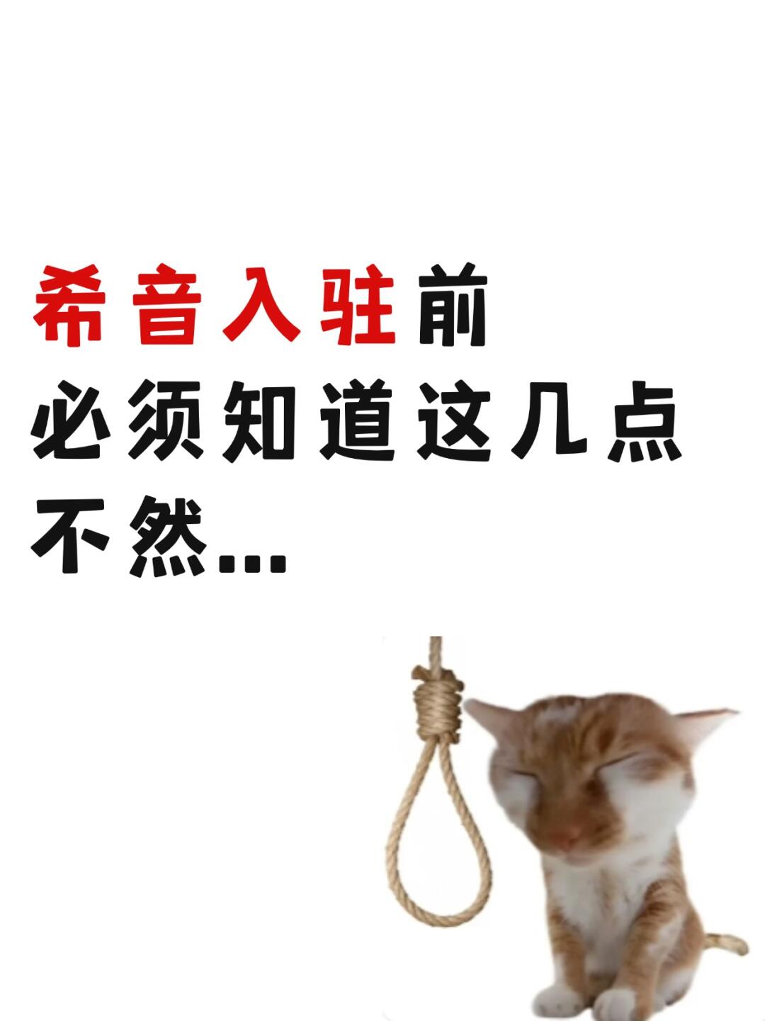 31aae885ecef410ad22993325fb5e623.jpg