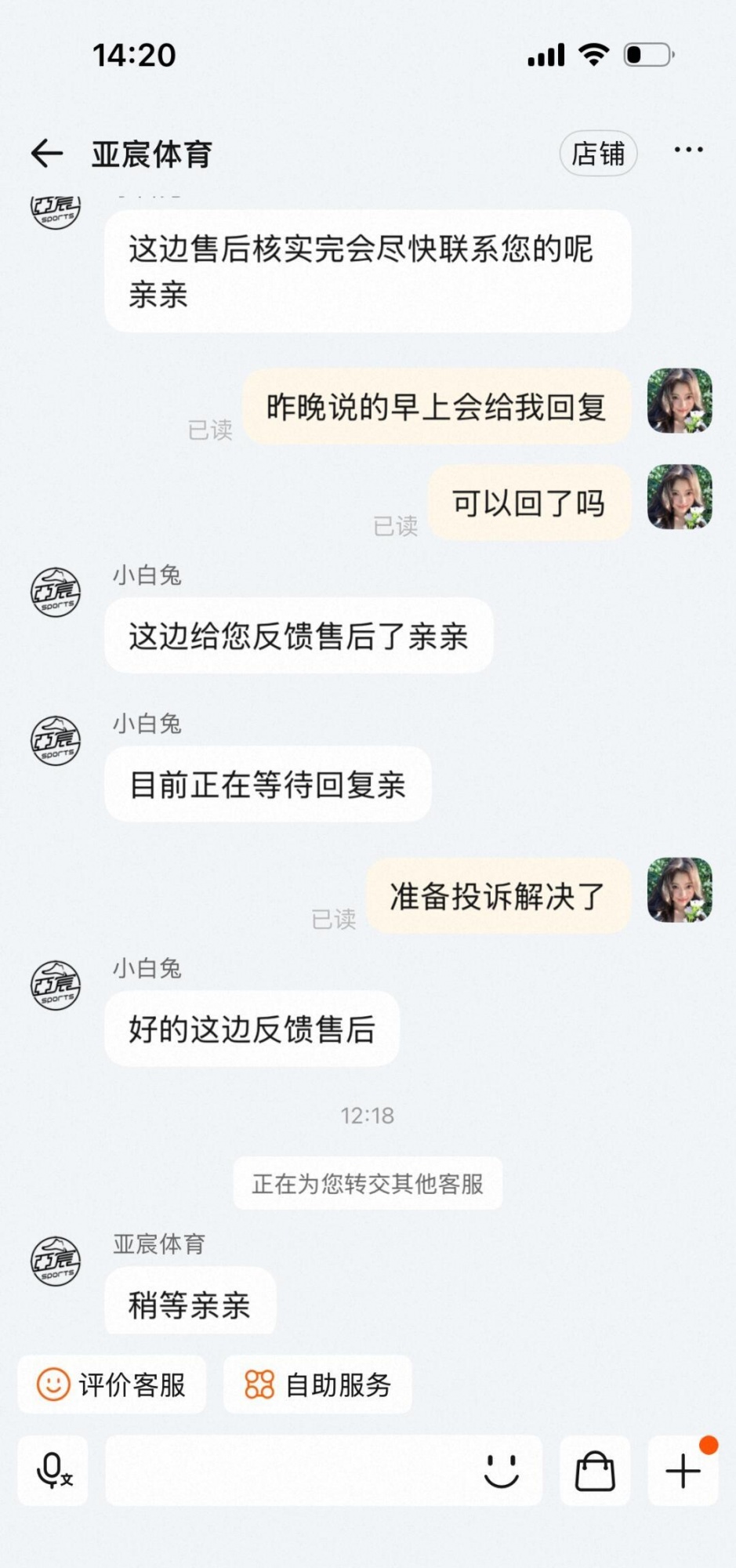 qw8.jpg