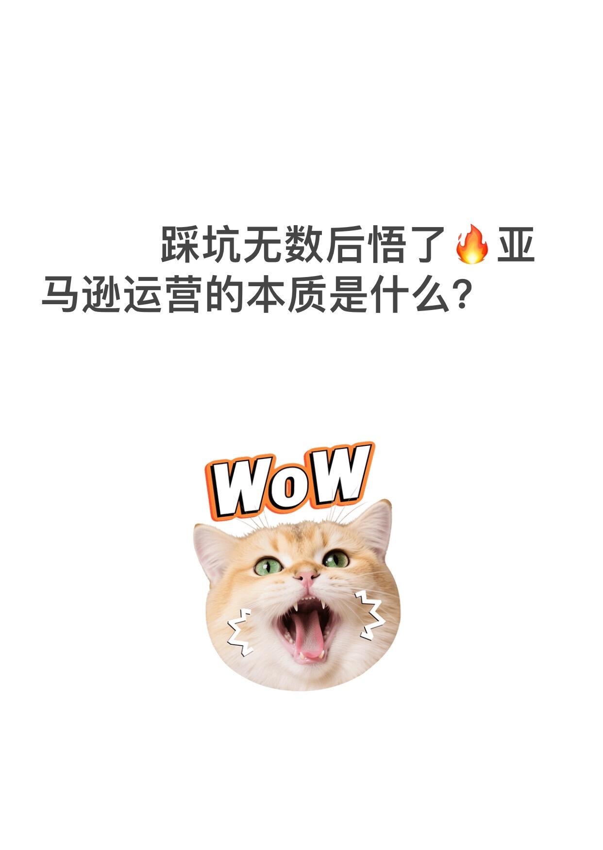 qw1.jpg