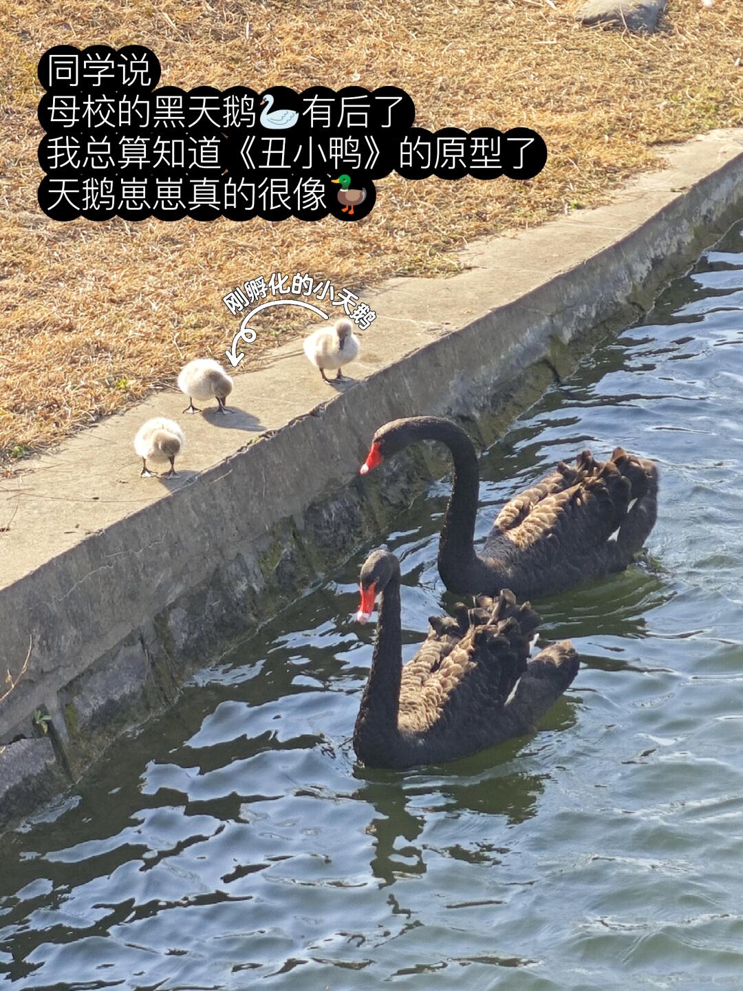 67a78cda65dd7bd608cdaa7ae03662ad.jpg