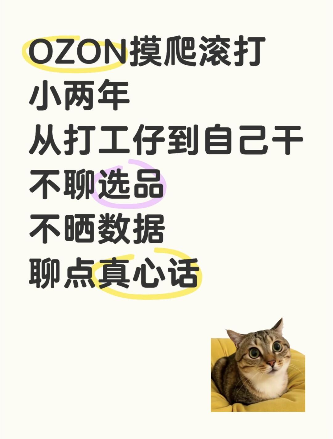 ce52b17d75302bcf078ca6b5d0ef40dd.jpg