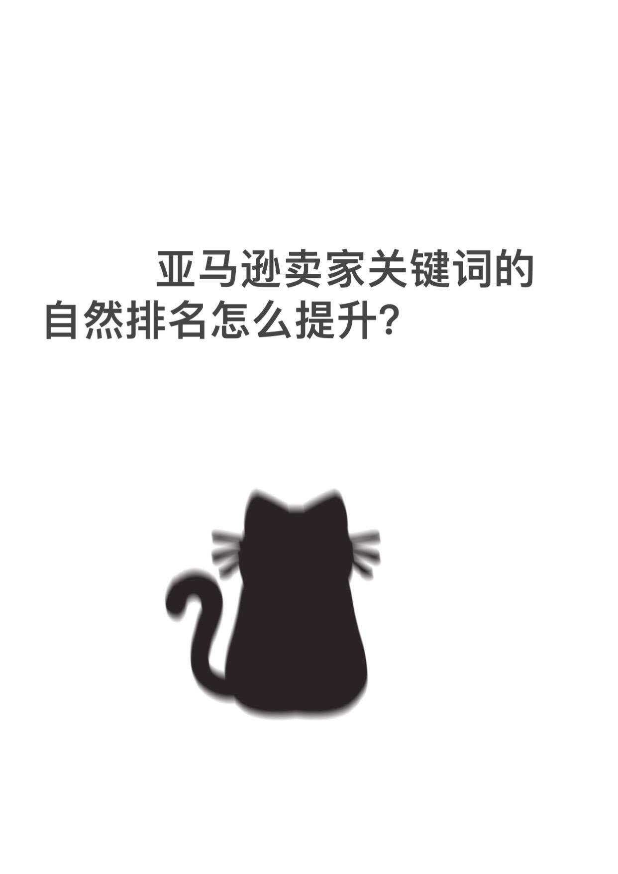 qw1.jpg