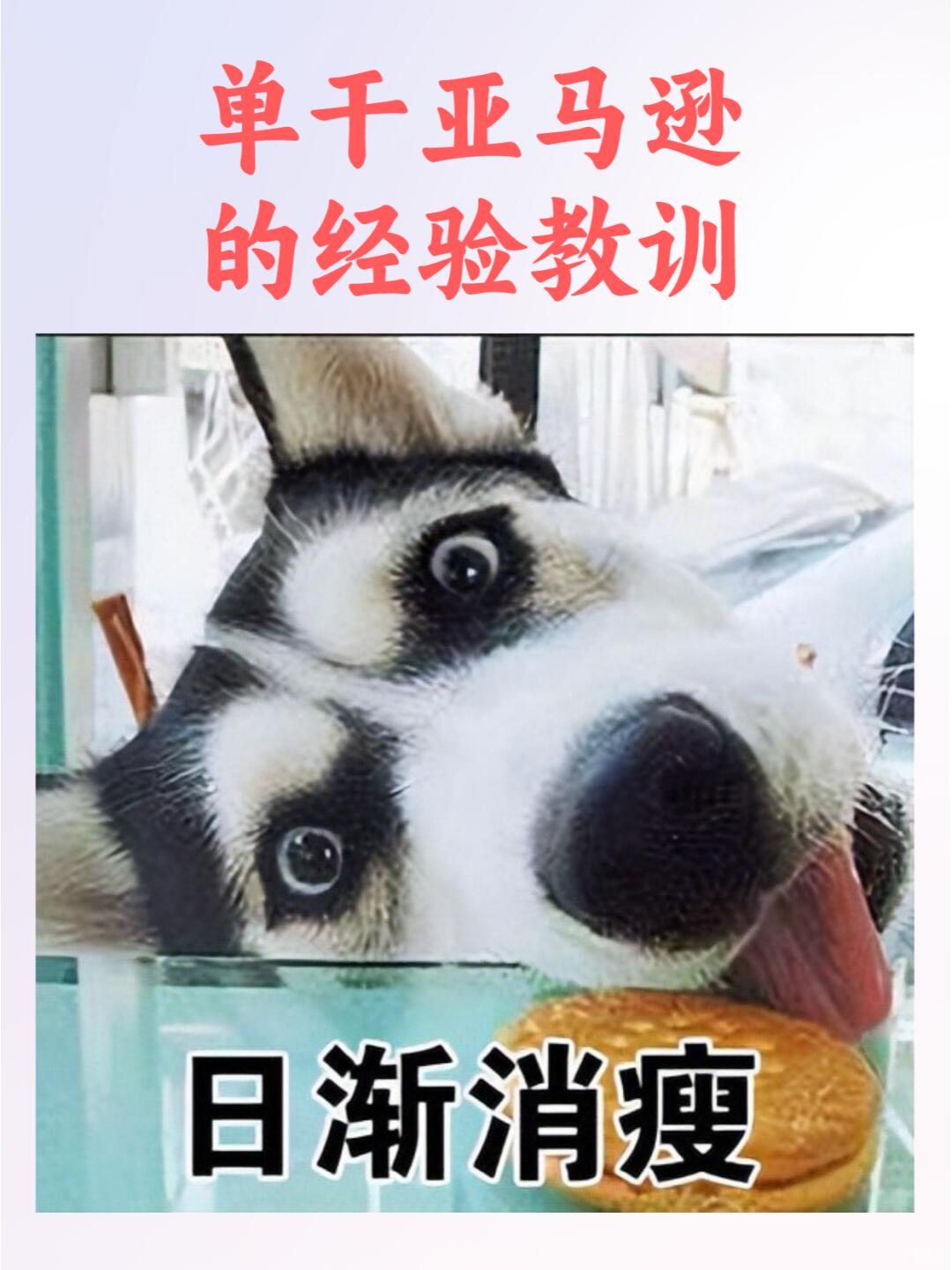 86d5b75eb5f42c785e37b871e3e86ecd.jpg