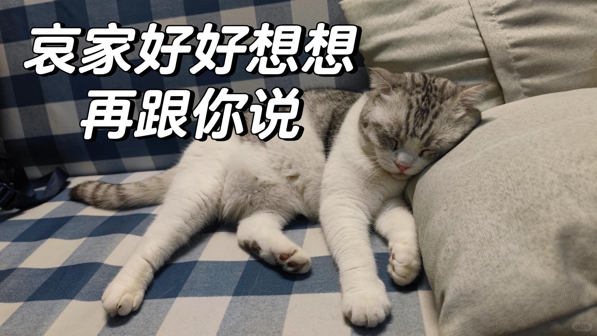 7ca1cb794ca7f6d9246bd5a3a08ba1b3.jpg