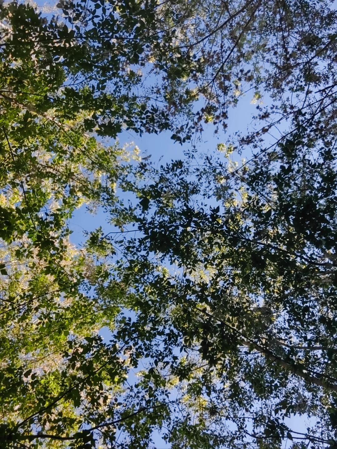 ff08a7cf3e67f52ec59dbfaf19f9a94f.jpg