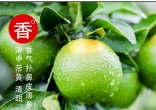 379a1a3444134b13965d14c13779c04d_tplv-obj_790_757.webp.jpg