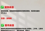 qw3.jpg