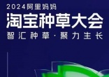qw3.jpg