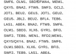 qw6.jpg