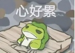 qw1.jpg